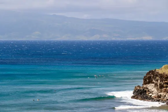 Casombie Kazino Atbalsts